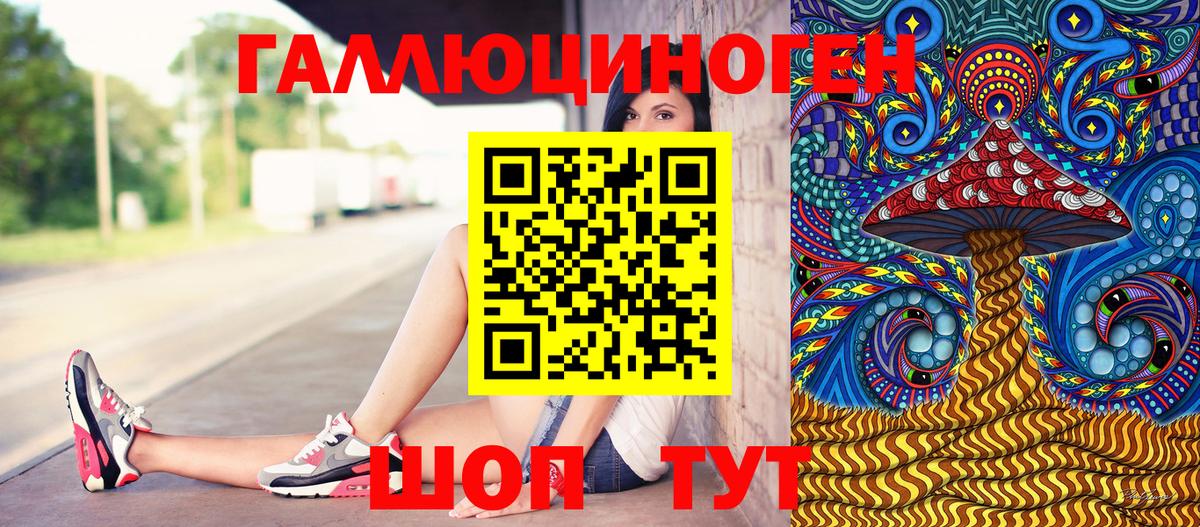 Галлюциногенные грибы Psilocybine cubensis Магадан