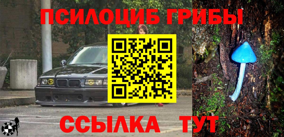 Магадан  Галлюциногенные грибы прущие грибы  где купить наркотик  Вход с VPN 